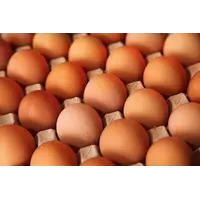Яйцо куриное коричневое С1